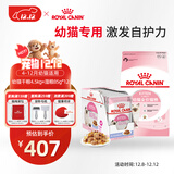 皇家幼猫 干湿搭配   K36 4.5KG+ KJP 85G*12