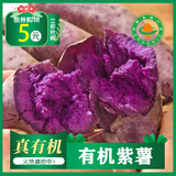 新鲜紫薯 有机认证无农残 现挖地瓜红薯紫薯山芋宝宝辅食蒸煮粥 3斤·有机紫薯