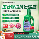 美乐棵种球营养液郁金香风信子马蹄莲植物花肥肥料浓缩植物营养液500ML