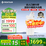 滨特尔（pentair）大白瓶前置过滤器 全屋家用自来水过滤器 前置净水器大蓝瓶 中央净水机大流量大胖瓶高精度 【10寸大白瓶】包安装