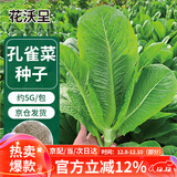 花沃里孔雀菜种子5g/包 蔬菜种子四季绿叶菜籽阳台种植盆栽土庭院田间种
