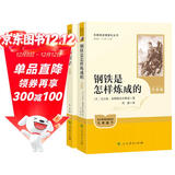骆驼祥子+钢铁是怎样炼成的（升级版） 人教版名著阅读课程化丛书 七年级下套装（共2册）与25春新版初中语文教材配套使用（含微课，从教学角度讲解名著；含阅读笔记本，提供测评指导帮助提升整本书阅读能力）