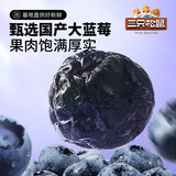 三只松鼠蜜饯系列蔓越莓干蓝莓干水果干蜜饯果脯休闲零食酸甜解馋开胃小吃 【尝鲜-独立包装】蓝莓干16g*5袋