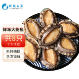 鲜拔头筹 青岛鲜活大鲍鱼海捕 大号鲍鱼鲜活冷冻生鲜贝类火锅烧烤特大鲍鱼 活冻大鲍鱼 400g 8头