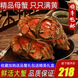 【活蟹】阳澄清歆大闸蟹 鲜活特大螃蟹公蟹母蟹 海鲜水产年货礼盒 精品全母蟹2.5-2.8两 八只礼盒装