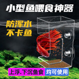 过凡（GUOFAN）鱼缸喂食器吸盘设计鱼食防漂散上浮下沉固定投喂区域亚克力鱼投食