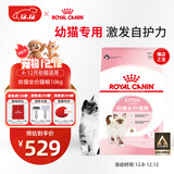 皇家幼猫猫粮 幼猫奶糕 K36 通用粮 4-12月 10KG