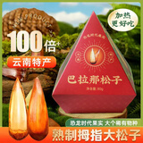 胜屿巴拉那松子大颗粒1盒云南特产坚果熟食拇指大松子休闲零食送礼