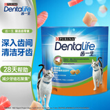 齿一生猫零食猫咪饼干洁齿零食成猫 鸡肉味170g 磨牙减少牙结石