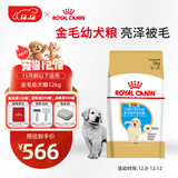 皇家狗粮 金毛幼犬狗粮 犬粮 宠物大型犬 AGR29 全价犬粮 2-15月 12KG