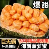 壹萌果蔬海南菠萝蜜整个【闪送-多地次日达】新鲜黄肉菠萝蜜热带水果送礼 20-25斤【店长推荐-80%人选】 50年老树果【果农严选】