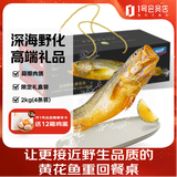 海名威 宁德深海野化黄花鱼礼盒 4斤共4条 年货礼盒 大黄鱼类 源头直发