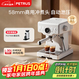 柏翠(petrus) 咖啡机意式浓缩家用小型半自动蒸汽打奶泡PE3833海盐小方 新年礼物