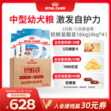 皇家幼犬狗粮  中型犬 MEJ32  2-12月 4KG*4