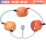 能恩智慧学生手工作业科技小制作小发明水果电池生物发电科学实验新年礼物 水果电池实验材料包