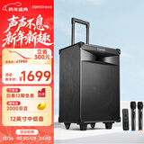 漫步者（EDIFIER）PW312 12英寸舞台户外移动音箱 高保真音响广场舞ktv露营电木吉他民谣乐器音箱