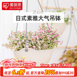 爱丽思（IRIS）吊钵环保树脂绿萝常春藤垂吊挂盆花盆吊兰盆悬挂壁式吊篮挂钩花盆 8号理石色