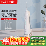 博皓（prooral）立式手持冲牙器 F27Pro大水箱版 水牙线 洗牙器洁牙器白色 牙齿冲洗器【生日节日礼物】
