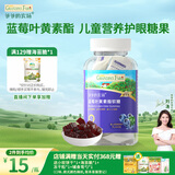爷爷的农场蓝莓叶黄素酯软糖糖果 儿童零食营养糖果蓝莓味60g 
