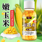 臻佑（Grsaed）钓鱼嫩玉米粒挂钩野钓鲫鲤草鱼翘嘴大物湖库鱼饵料玉米味120g*3瓶