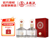 五粮液股份 金碧辉煌 经典版 浓香型白酒 52度 500mL*2瓶 送礼宴饮