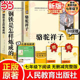 当当新版 骆驼祥子 朝花夕拾 西游记  钢铁是怎样炼成的 人教版七年级上册 人教版 七年级下册课外书课外阅读名著初一书目 朝花夕拾 原著无删减版 人民教育出版社 西游记 【升级版2本】七年级下 钢铁是