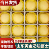 译优农山东烟台奶油富士苹果水果新鲜牛奶黄金苹果时令当季生鲜丑苹果 5斤中果【实惠装】