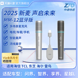 天籁K歌MM-12适用于问界智界享界星越L雷鸟TCL海尔连接电视音乐K歌无线麦克风卡拉OK唱歌话筒家用娱乐 2025年新品 多场景蓝牙麦克风（银灰） MM-12旗舰款