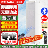 先科（SAST）YL-21户外无线蓝牙防水音柱40W壁挂音箱 室内外挂墙式音响功放喇叭套装学校会议广播店铺音乐 主机