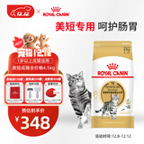 皇家猫粮 美短成猫粮 ASA31 通用粮 12月以上 4.5KG