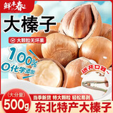 鲜丰春东北特产手拍大榛子铁岭2025新果原味薄壳坚果炒货干果年货500克