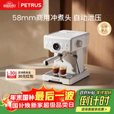 柏翠(petrus)【政府补贴】咖啡机意式浓缩家用小型半自动蒸汽打奶泡PE3833海盐小方 新年礼物