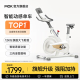 MOKFITNESSMOK(摩刻)-S10动感单车家用健身房智能磁控专业减肥运动器材静音 S10Ultra（冰川白）
