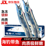 滩礼家 带鱼 特级带鱼特大号整条鲜带鱼海钓刀鱼整箱年货海鲜礼盒 8斤装（7两-1斤/条）净重