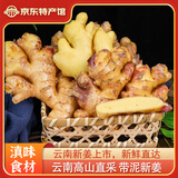 云南当季新鲜生姜农家自种蔬菜现挖醋泡姜酸辣腌制开胃泡菜仔姜 优选嫩姜5斤【带箱】