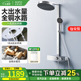 日丰卫浴镜雨淋浴花洒套装卫生间家用明装全铜沐浴器套装雅格平替 镜面冷热 | 全铜水路+一孔四出镜雨手持 免费安装