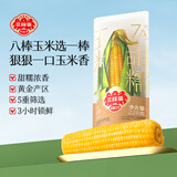 三胖蛋7A甜糯玉米新鲜真空包装加热即食高品质黄玉米棒粗粮代餐228g 7A甜糯玉米228g*5穗