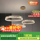 佼佼者（JIAOJIAOZHE）轻奢吊灯智能客厅吊灯现代简约大气2024年新款三圈圆形主厅灯具