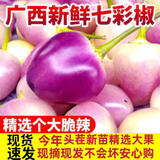 山间果好广西高山新鲜七彩椒农家自种五彩椒泡椒现摘五色小米辣现货速发 广西七彩椒0斤 3斤