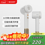 夏普【夏普小浪花】家用高速吹风机 大功率速干电吹风低噪音吹风筒等离子护发IB-RP45C-C