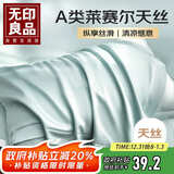 无印良品A类莱赛尔天丝枕套一对装家用水洗冰丝枕头套 纯粹兰48*74cm