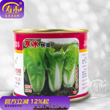 寿禾油菜种子矮脚上海青梗菜蔬菜小白菜快菜秋季寿光蔬种籽四季青菜 （耐寒）嘉华寒冰快菜种子100g