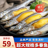 海宏盈 满籽多春鱼 特大多籽鱼鱼子海鲜鱼类生鲜烧烤火锅食材 2斤装特大规格15-17厘米