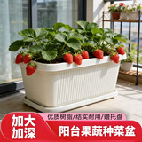 芷郁阳台种菜专用盆家庭蔬菜种植箱楼顶长方形塑料花盆家用菜盆 米白