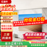 RedGoldLeaf红金叶电动拉线幕布投影仪幕布家庭影院8K高清抗光幕布电动遥控幕布投影幕布 【智能拉线幕】纳米白 150英寸16:9 【平整如镜】