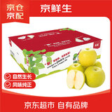 京鲜生 青草蜜梨 绿冠梨 净重5斤 单果250g+ 生鲜水果礼盒