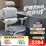 Ergonor保友金豪b雄鹰 人体工学椅 电脑椅 电竞椅办公椅子可躺老板椅 【金豪b雄鹰】银白(云感科技座垫)+躺舒宝