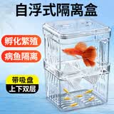 坤宁王*孔雀鱼隔离繁殖盒鱼缸分养箱斗鱼小鱼苗隔离盒产卵房孵化盒小号