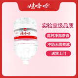 娃哈哈纯净水饮用水12L*1桶 一次性桶装水大桶水 送货上门