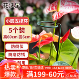 花沃里花架植物爬藤架植物支撑杆阳台绿植防倒伏支撑架圆环型60CM5个装